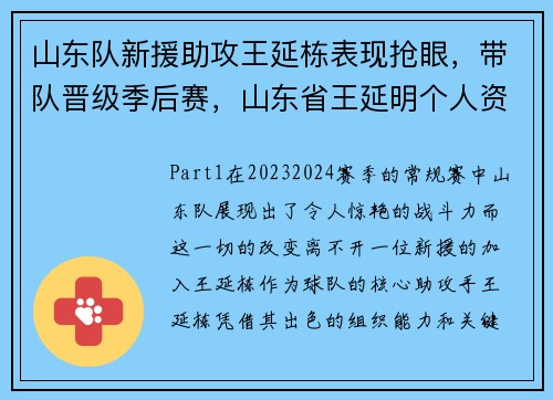 山东队新援助攻王延栋表现抢眼，带队晋级季后赛，山东省王延明个人资料
