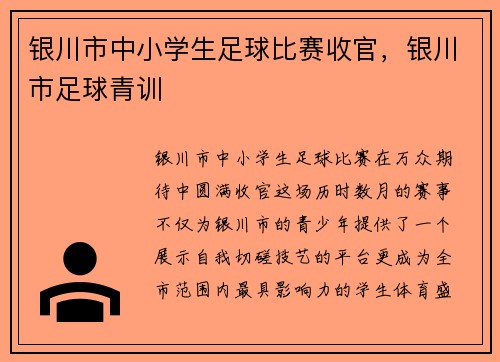 银川市中小学生足球比赛收官，银川市足球青训
