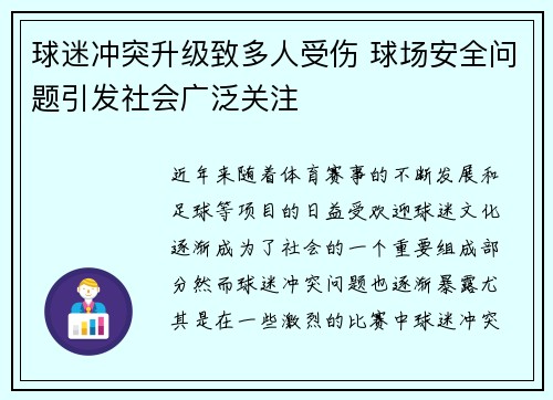 球迷冲突升级致多人受伤 球场安全问题引发社会广泛关注